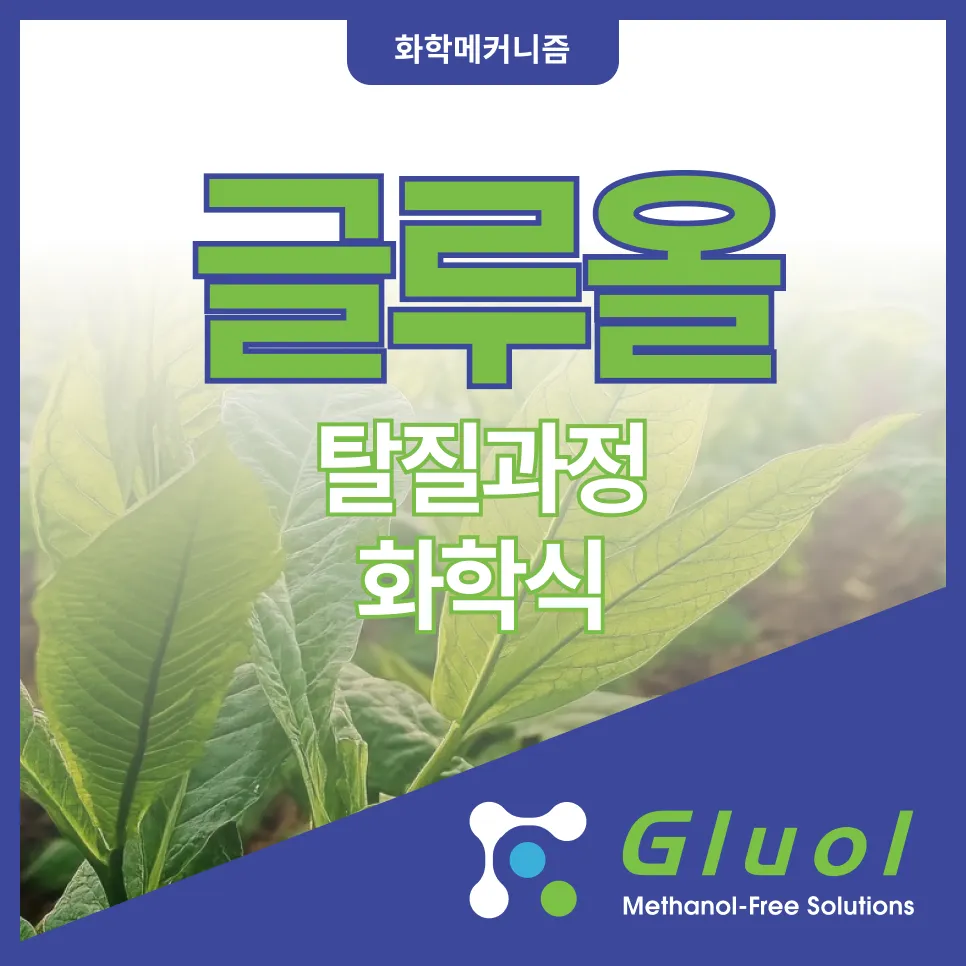 글루올화학식-에코텍이에스